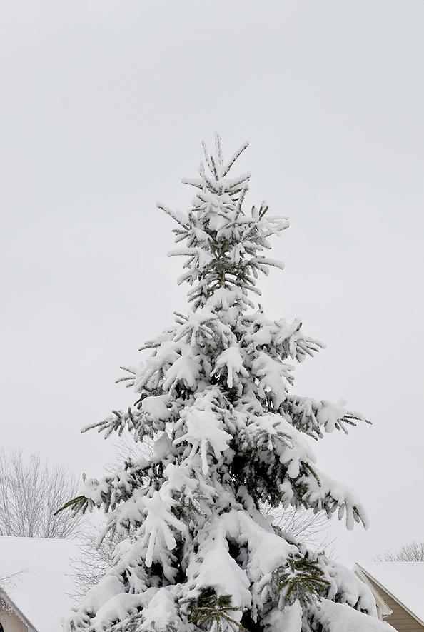 Snomageddon_01_mini