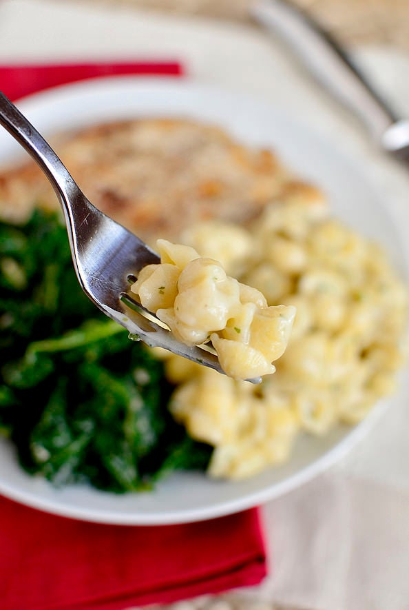 Creamy Garlic Shells is an easy pasta side dish. No store bought pouch required! | iowagirleats.com