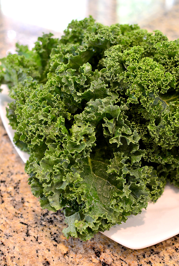 Best-of-Summer-Kale-Salad-with-Blueberry-Balsamic-Vinaigrette-iowagirleats-05_mini
