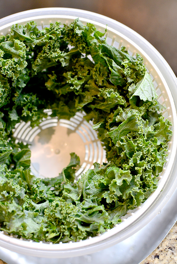 Best-of-Summer-Kale-Salad-with-Blueberry-Balsamic-Vinaigrette-iowagirleats-07_mini