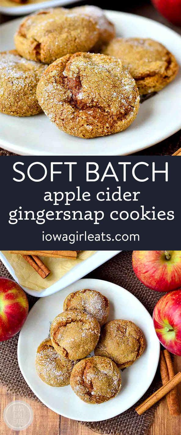 photo collage of soft batch apple cider gingersnap cookies
