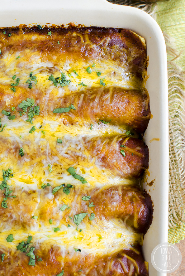 Cheesy Chicken Enchiladas with Homemade Gluten-Free Enchilada Sauce will please the whole family. Make ahead, and so simple! #glutenfree | iowagirleats.com