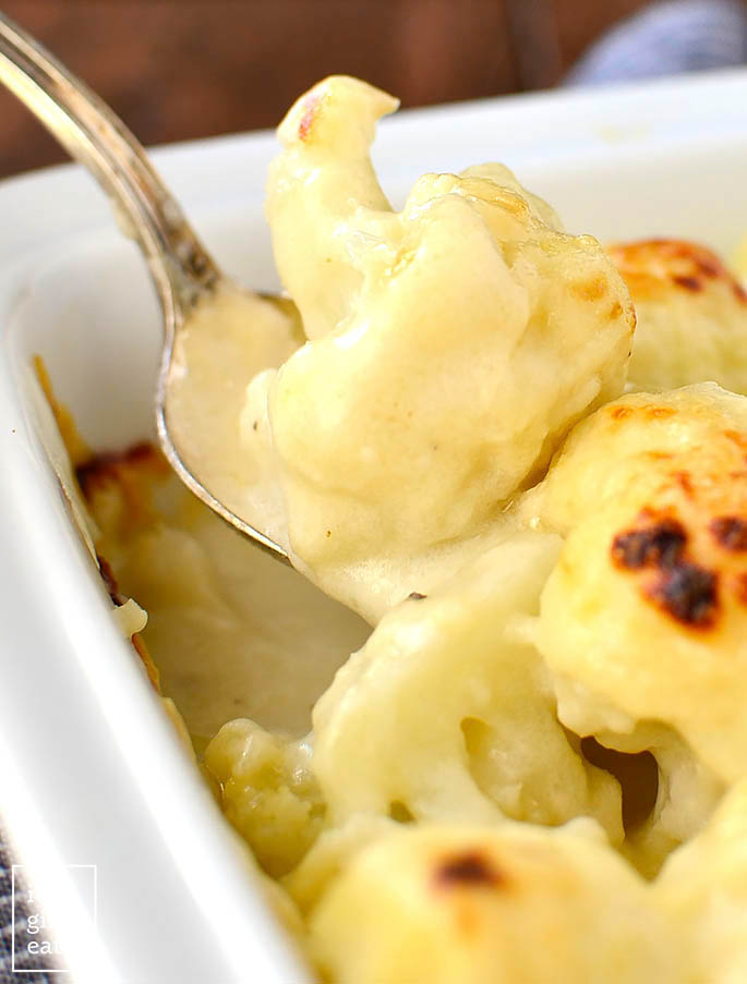 scoop of cauliflower gratin on a plate with melted cheese sauce