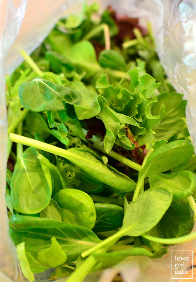 fresh lettuce in a bag