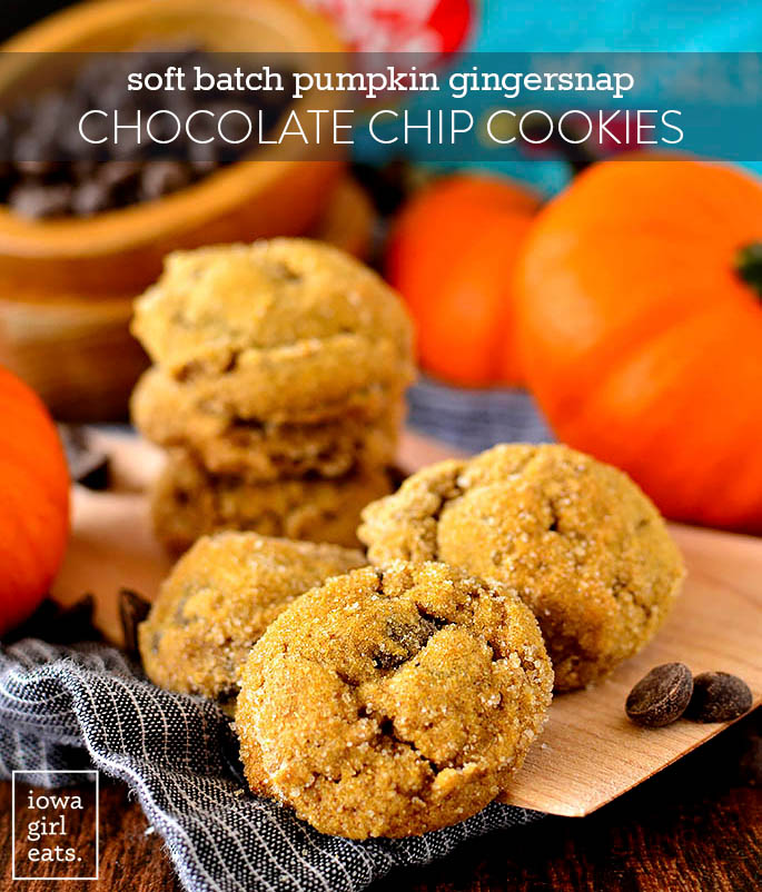 Soft batch pumpkin gingersnap chocolate chip cookies siting on a cookie scoop