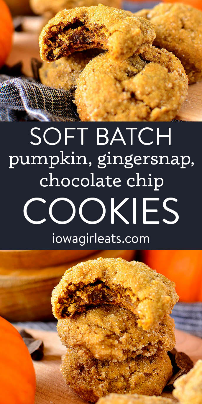 photo collage of Soft batch pumpkin gingersnap chocolate chip cookie