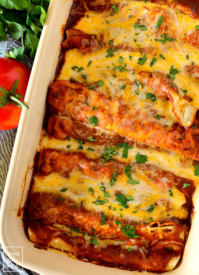 Overhead photo of a baking dish of Cheese Enchiladas with Red Sauce