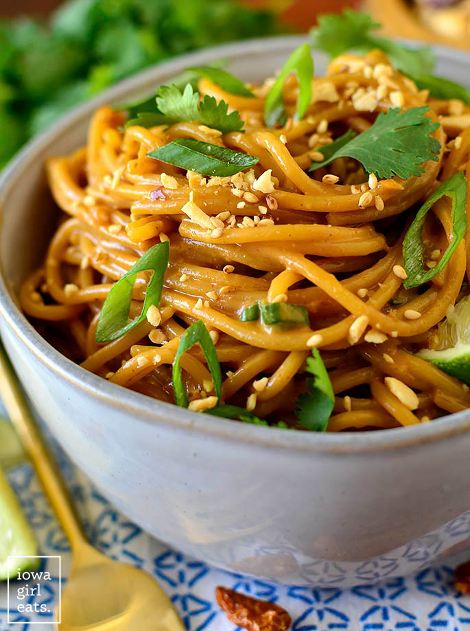 Close up Photo of sesame peanut sauce noodles in a bowl