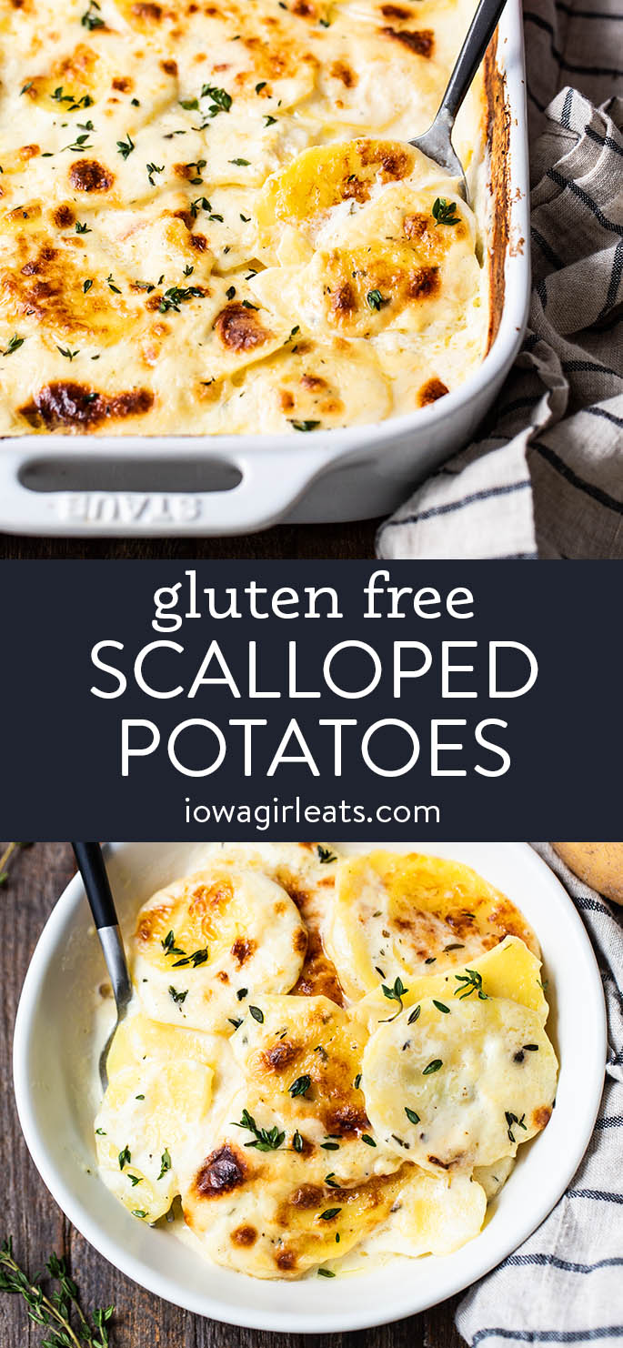 photo collage of gluten free scalloped potatoes