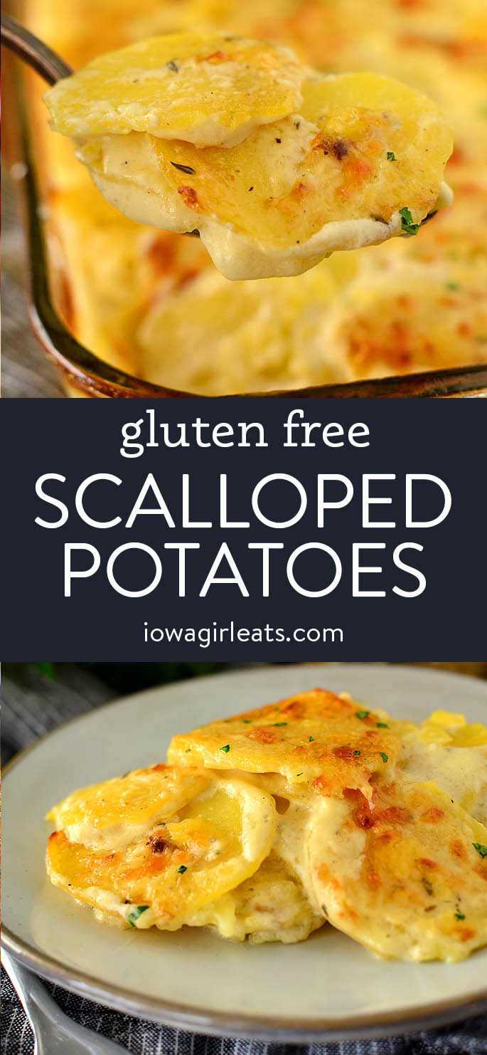 photo collage of gluten free scalloped potatoes