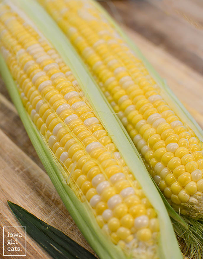 fresh ears of sweet corn in the husk