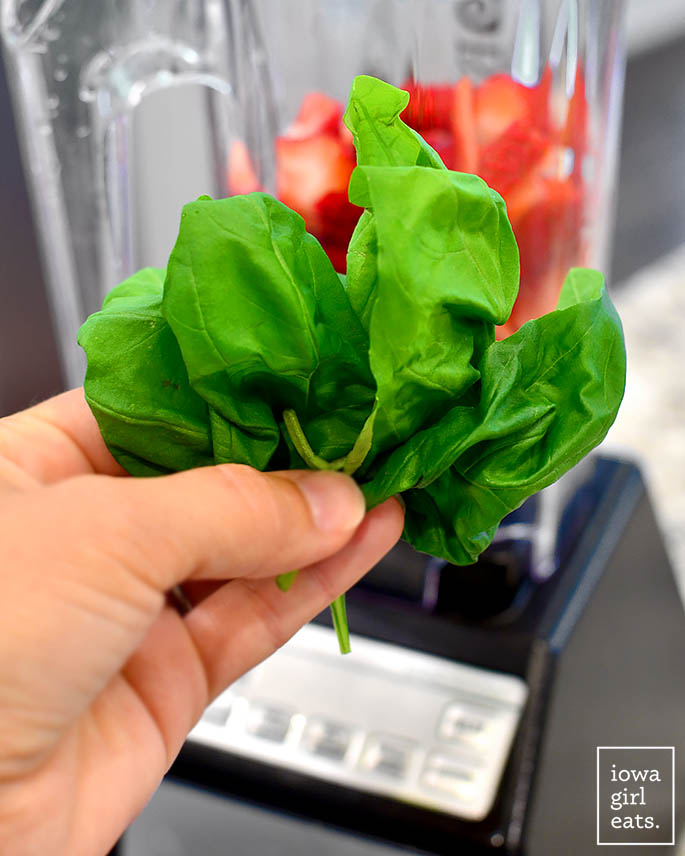 hand holding fresh basil in front of a blender
