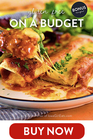 Buy Now Button for Gluten Free on a Budget ebook
