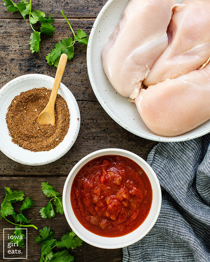 ingredients for slow cooker salsa chicken