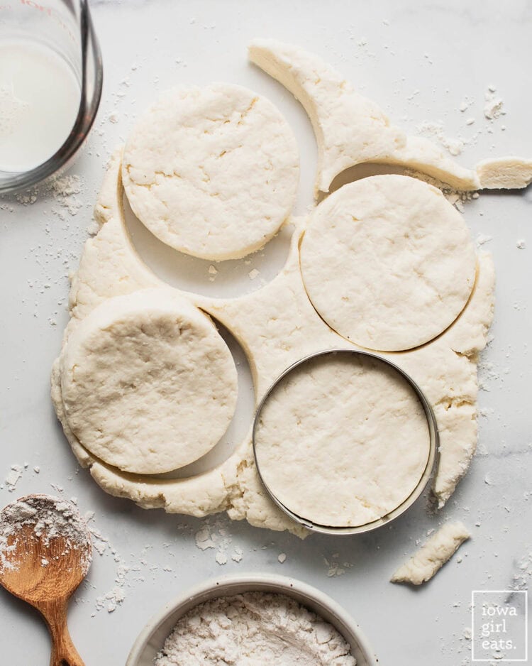 LOW CALORIE GLUTEN FREE BISCUITS RECIPE visual data 2