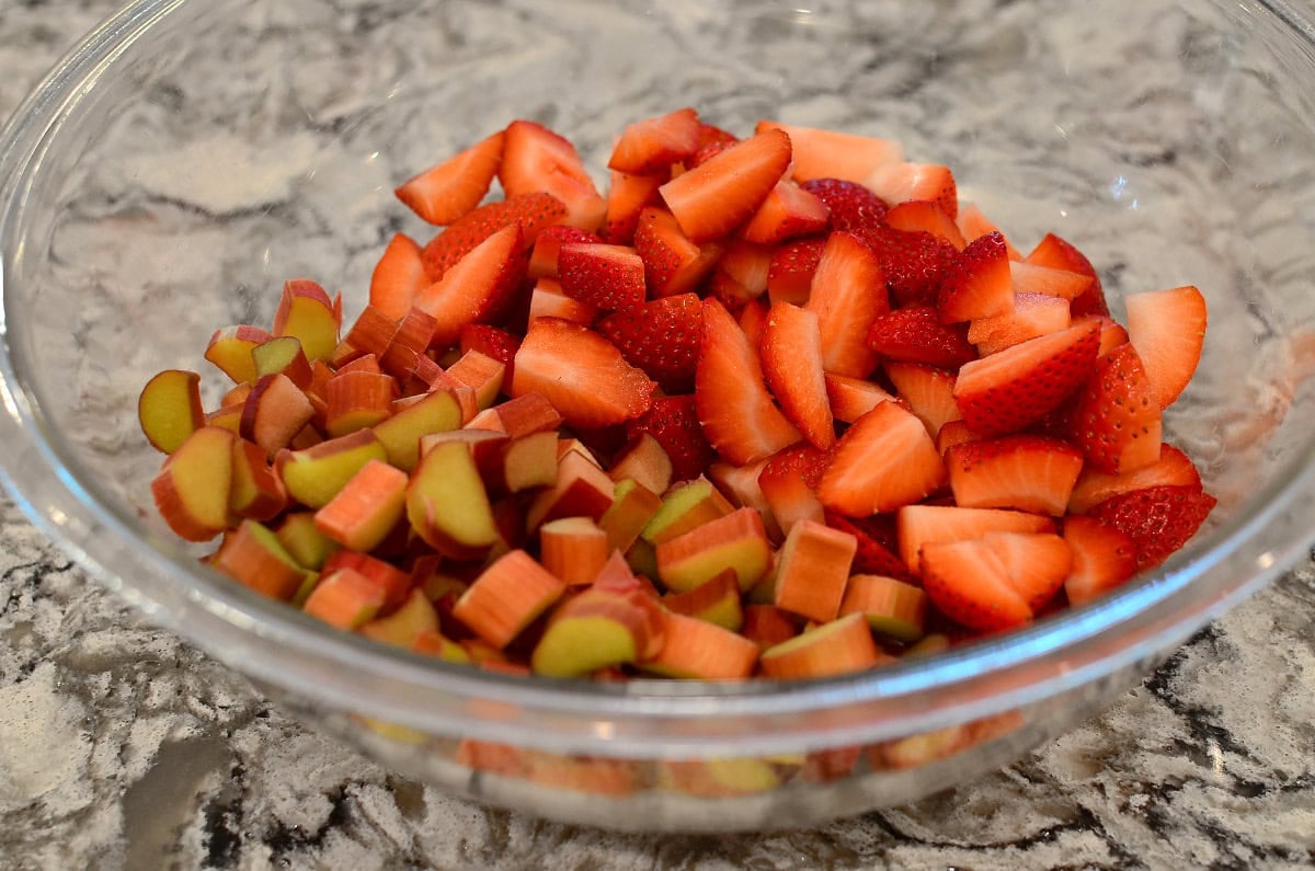 strawberry and rhubarb in a bowl