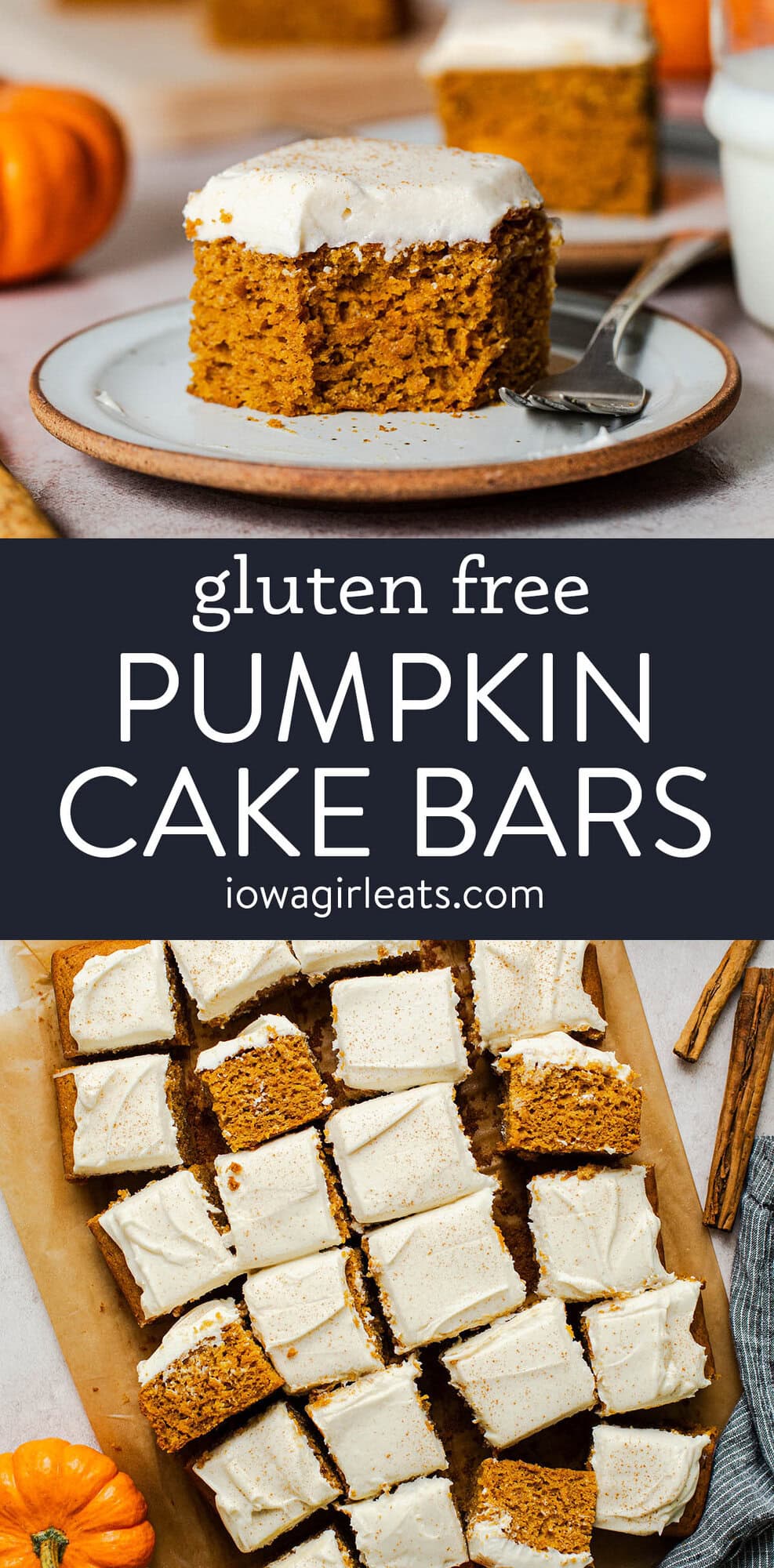 photo collage of gluten free pumpkin cake bars